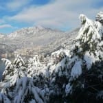 सांकेतिक तस्वीर