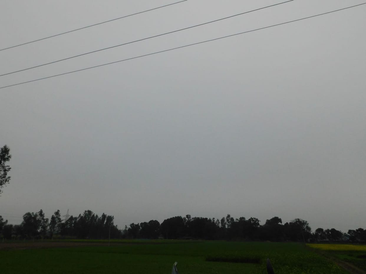 Cold Wave due to rain
