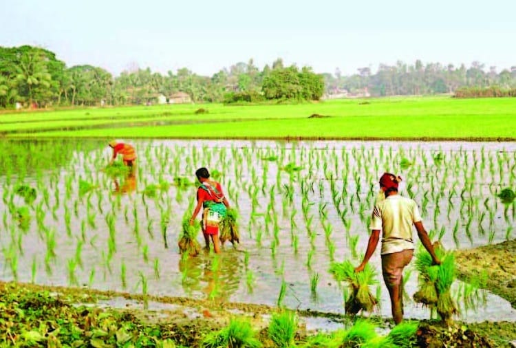 PM Kusum Scheme Launched in Haryana for Agricultural Development