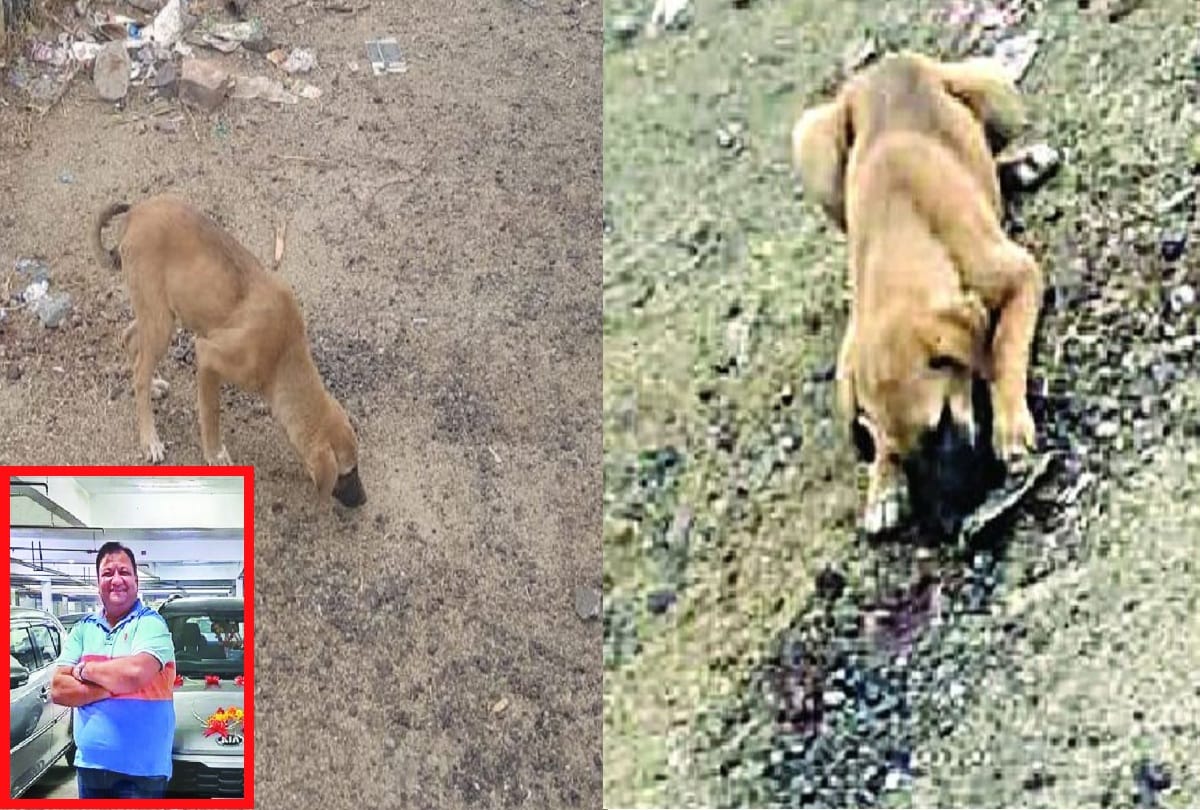 gaurav chandel murder case his car ran without number for many hours but police had no clue