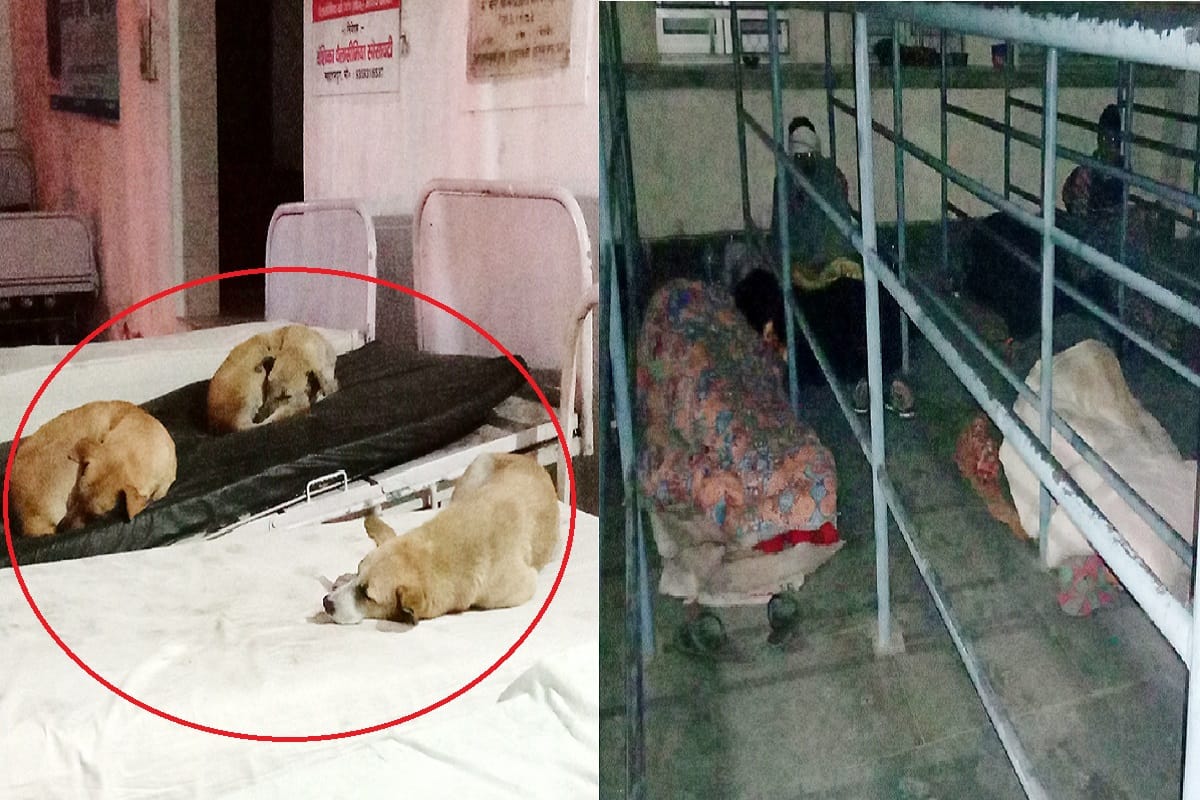 The negligence of SBD District Hospital has been exposed in Saharanpur city
