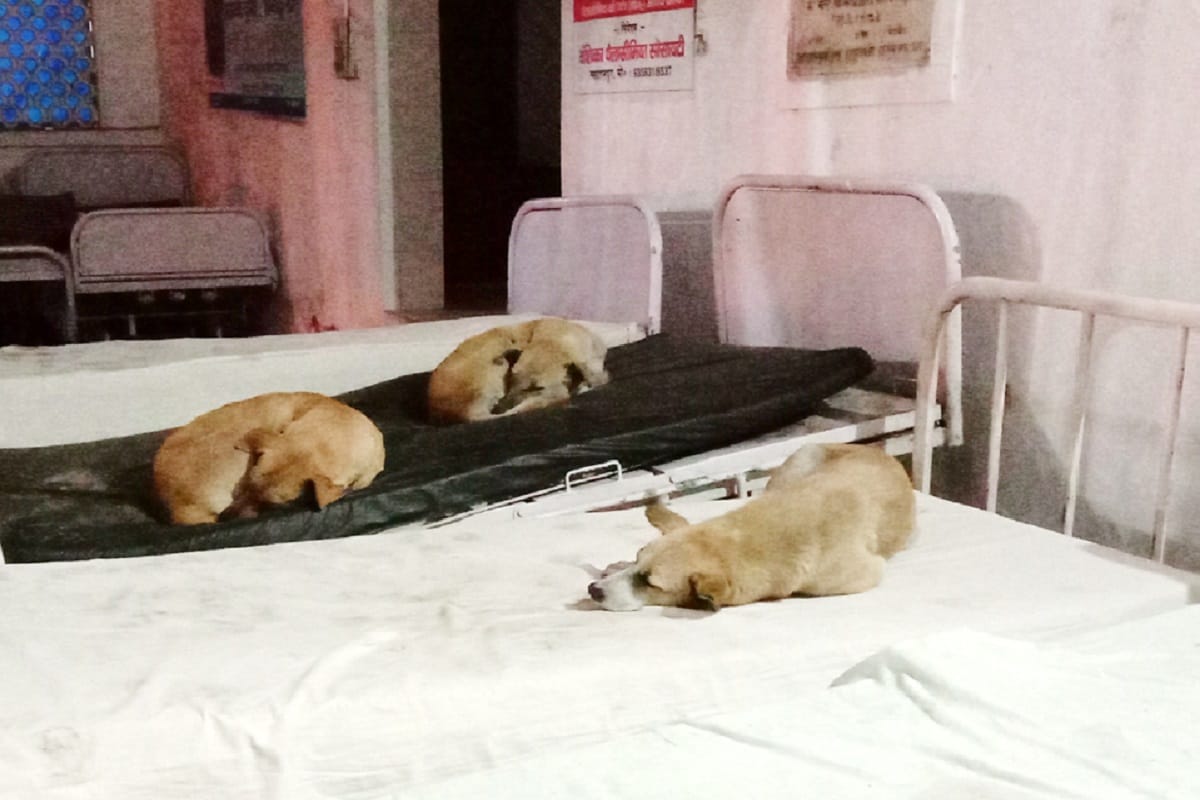 The negligence of SBD District Hospital has been exposed in Saharanpur city