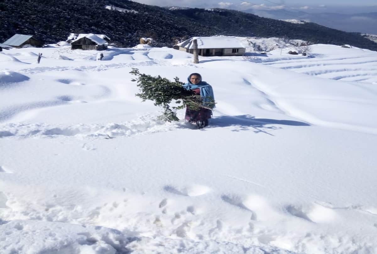 Heavy rain-snowfall warning in half of Himachal, Yellow alert issued