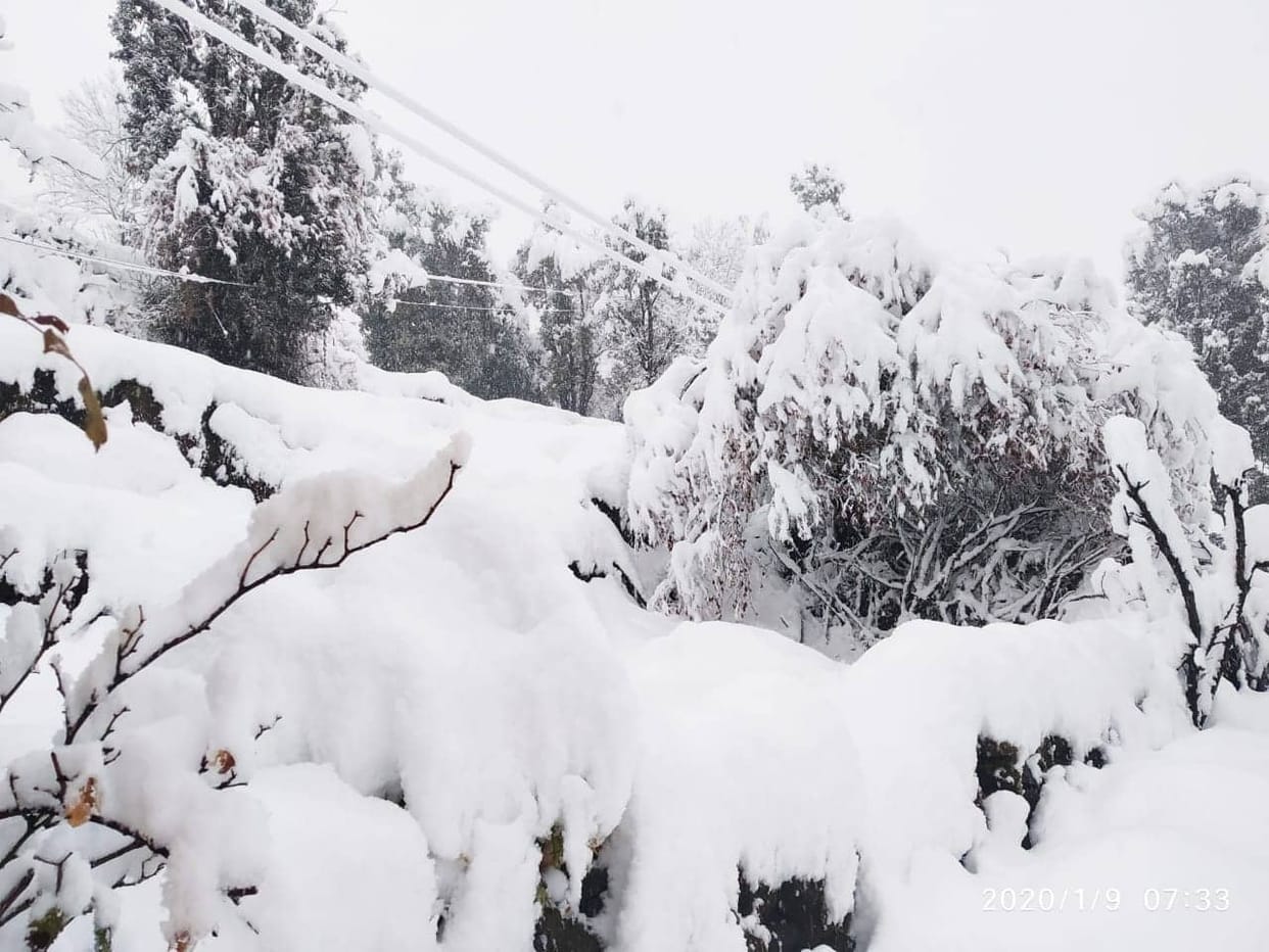 uttarakhand weather today : rain, snowfall and hail storm expected