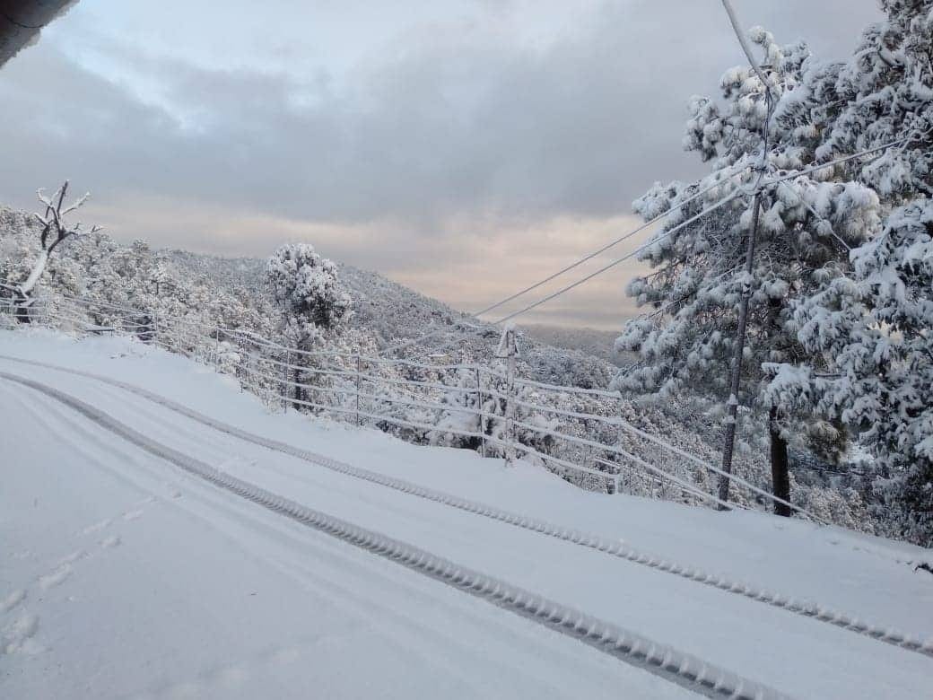 If you want to see snowfall you can go there also, these places about 100 km to Dehradun