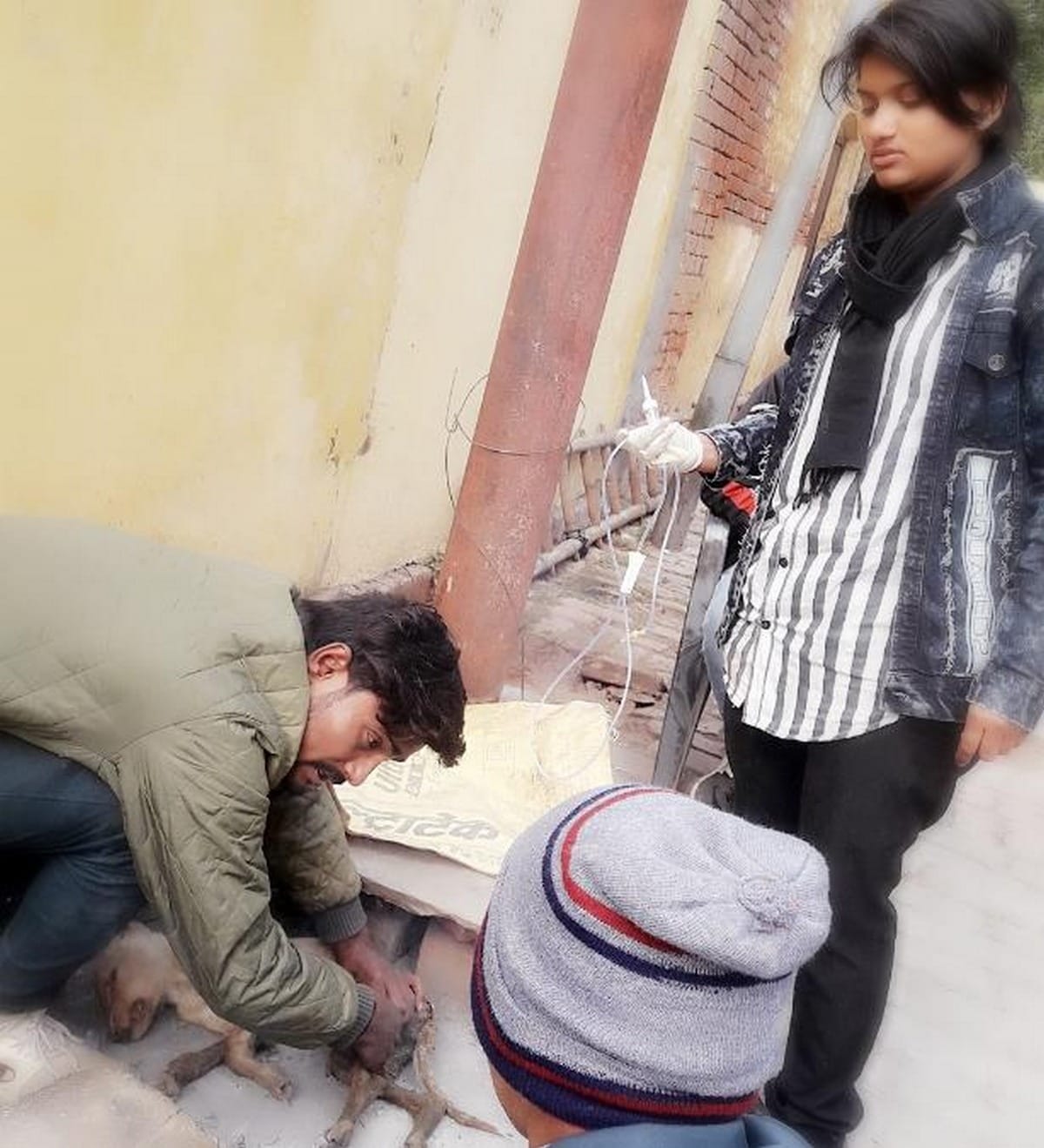 Sonam throws up seeing pain of animals, keeps first aid items of animals in school bags in varanasi