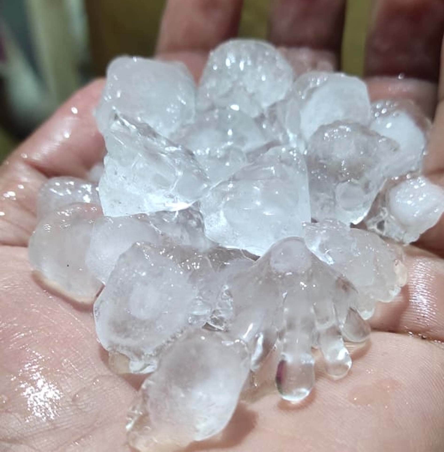 Pratapgarh: Fog throughout the day, hail fell with rain at night