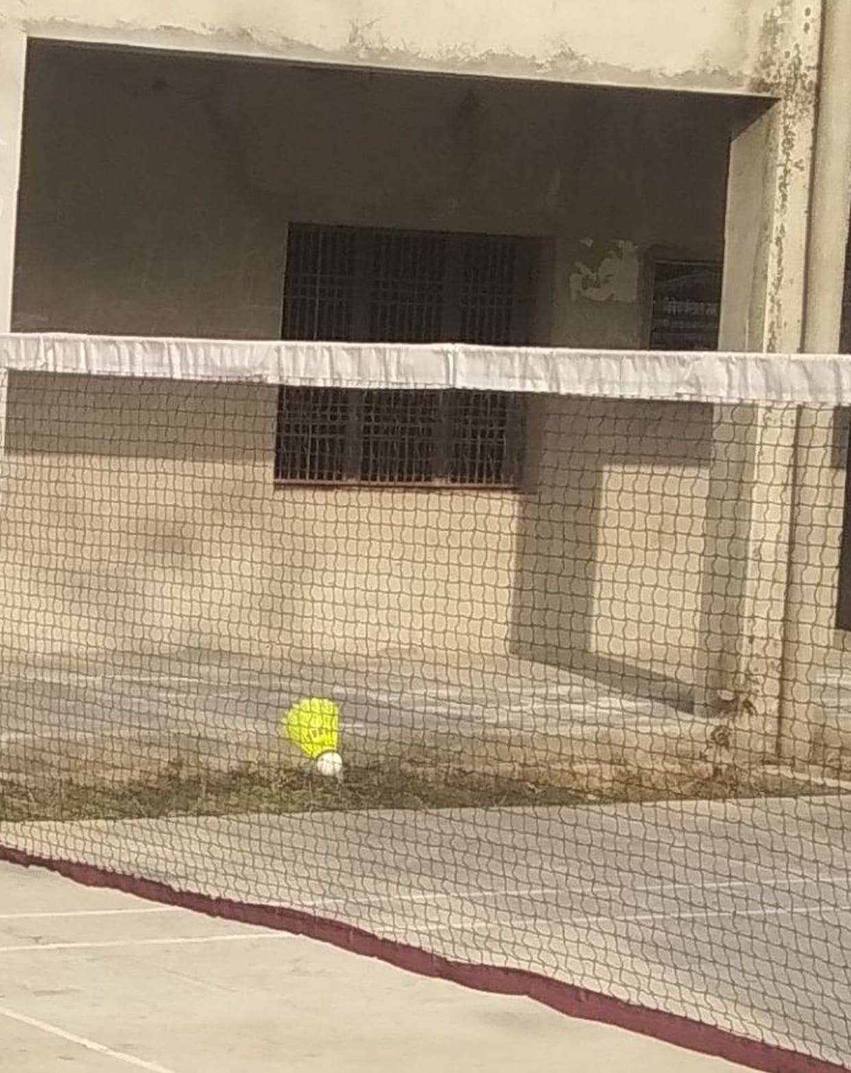 sport, school