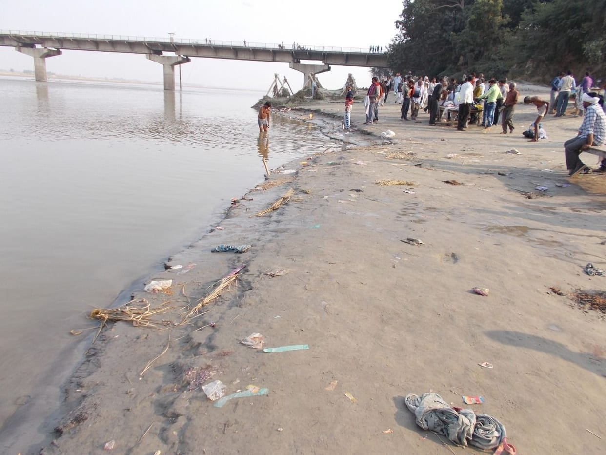 kannauj: ganga mein talaashee jaengee dolphin, 30 ko pahunchegee teem