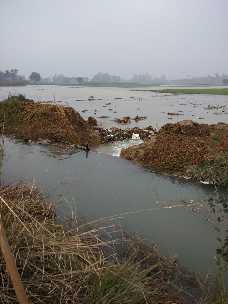 Canal tracks broken, acres of crop of submerged