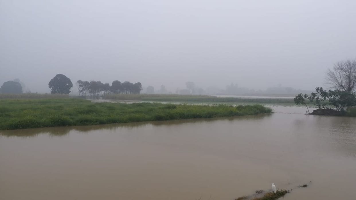 Then two thousand bigha crops submerged due to canal cutting