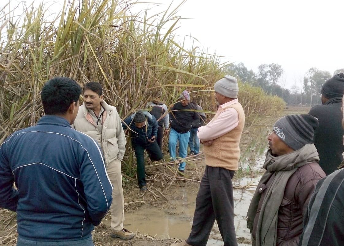 Farmers surrounded the field when they saw guldar
