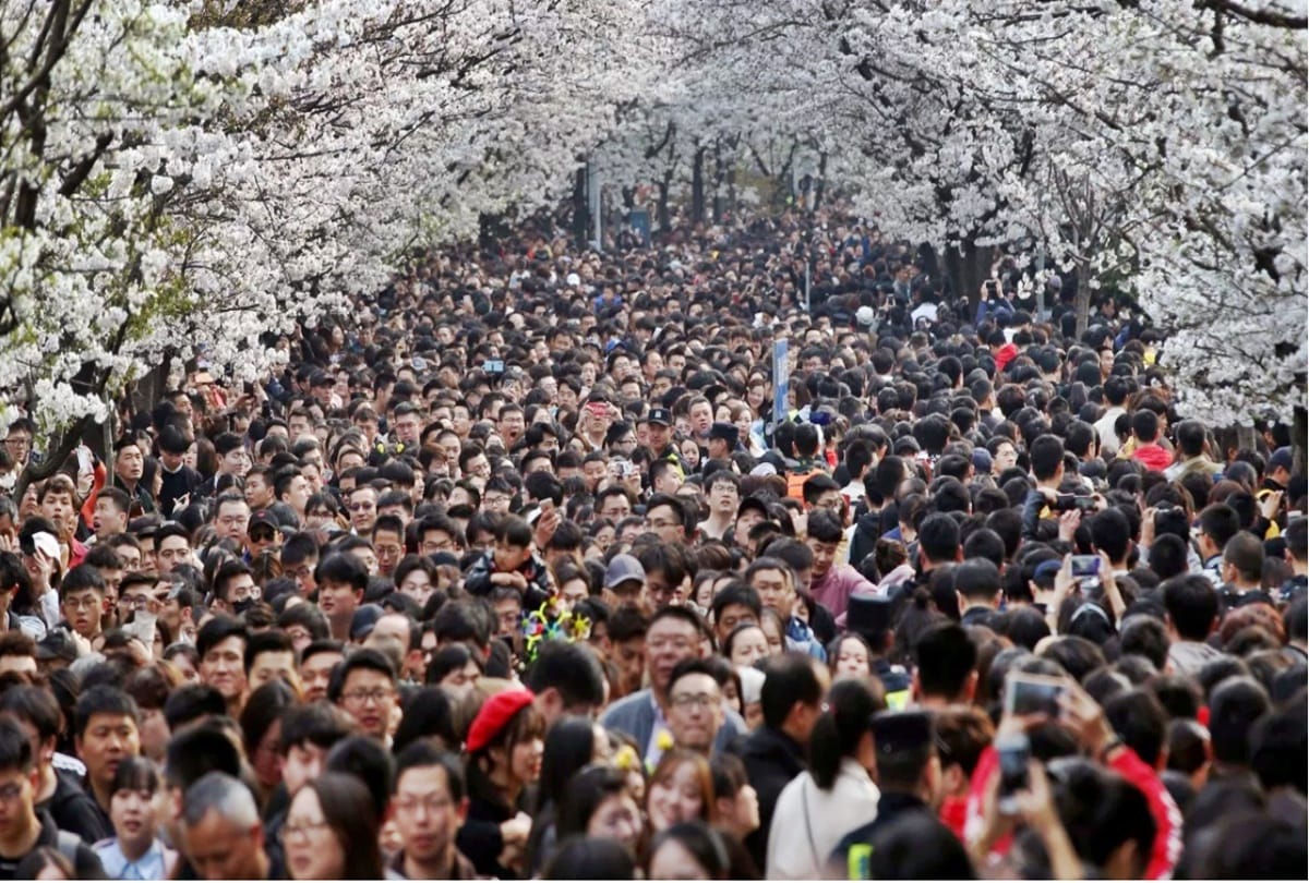 Chinese Jiangsu province Just 17 out of 80 million people now live in poverty