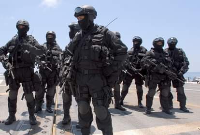 ईरानी सेना