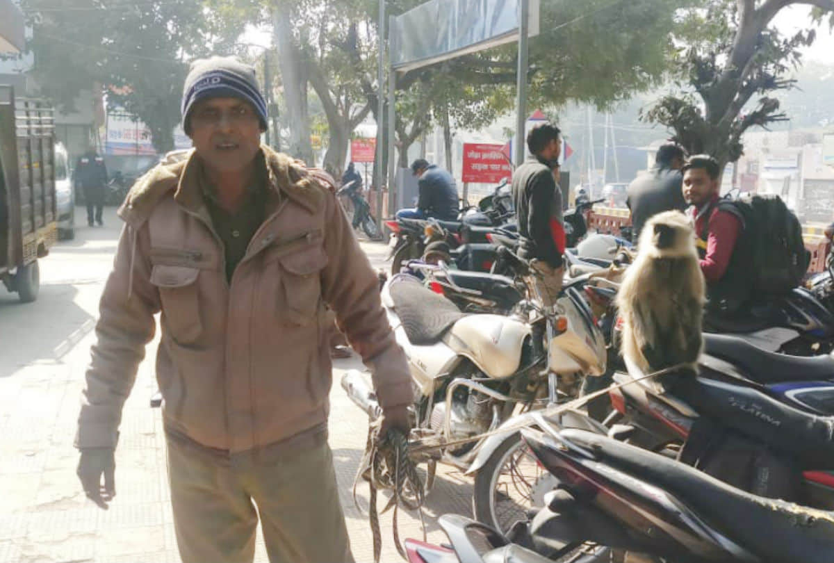 home guard duty for care of langoor at police station agra
