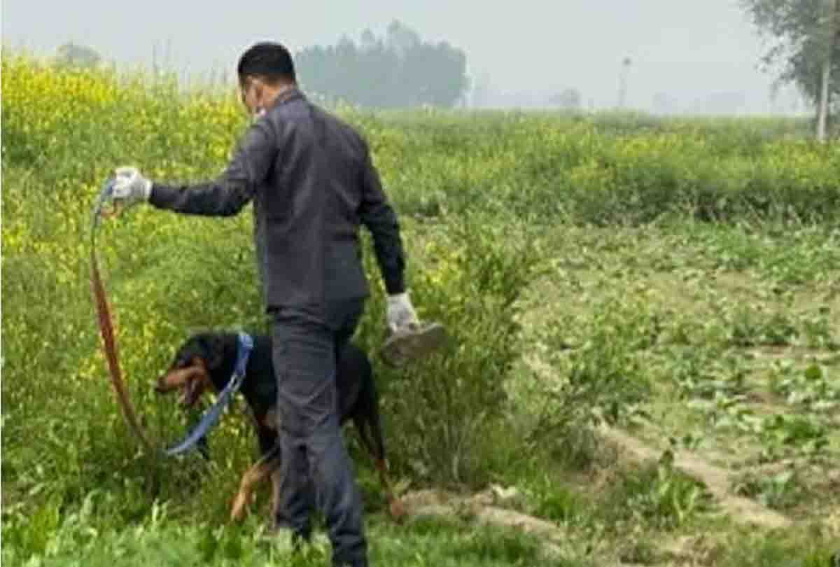 Cousin kills teenager for refusing to marry her in Unnao, Police arrested the accused