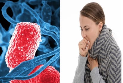 National Pneumonia Day PCV vaccine must be given to children, read, symptoms and methods of prevention