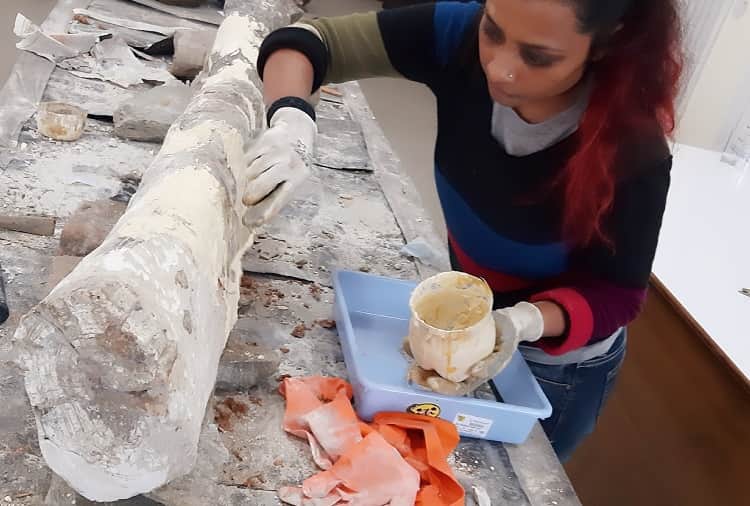 20 Thousand Year Old Elephant Mammoth Restored by Artist Renu Kashyap