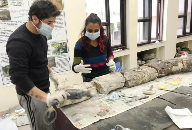 20 Thousand Year Old Elephant Mammoth Restored by Artist Renu Kashyap