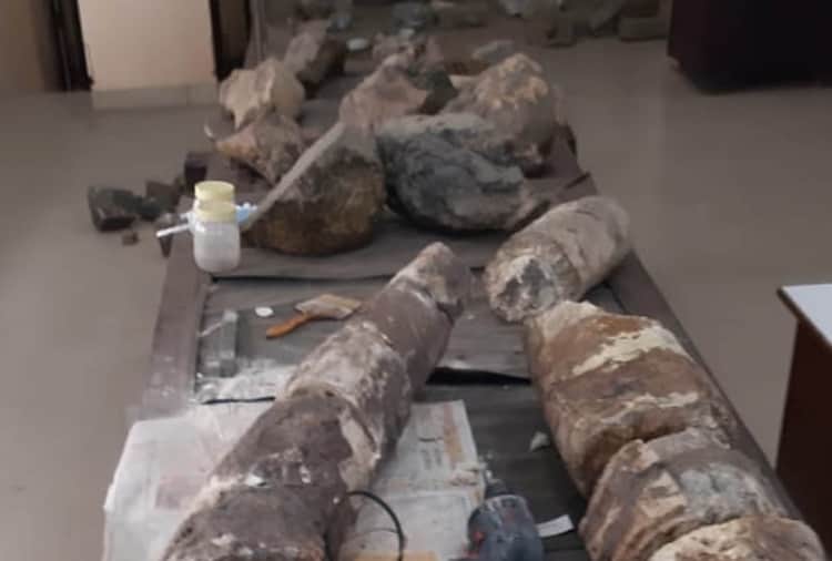 20 Thousand Year Old Elephant Mammoth Restored by Artist Renu Kashyap