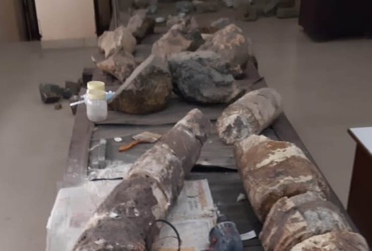 20 Thousand Year Old Elephant Mammoth Restored by Artist Renu Kashyap