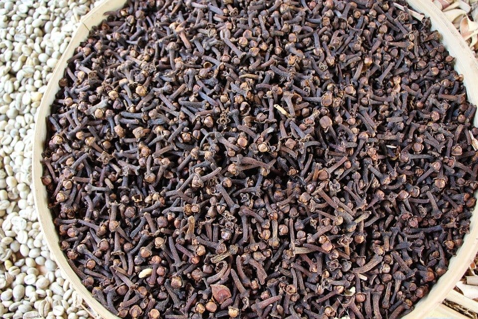 cloves for congestion lawang for cold and cough