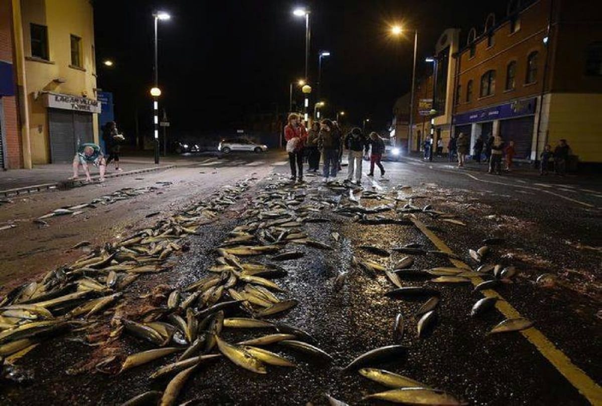 Every Year the Sky Rains Fish in Honduras