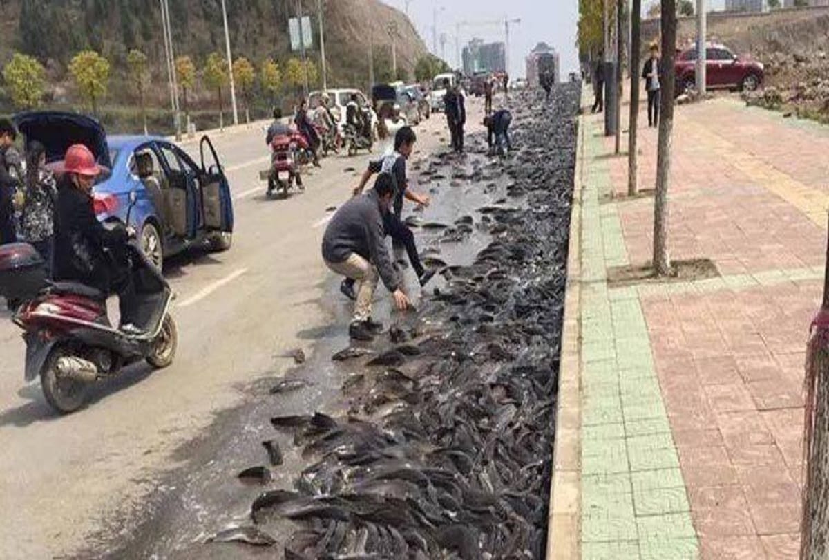 Every Year the Sky Rains Fish in Honduras