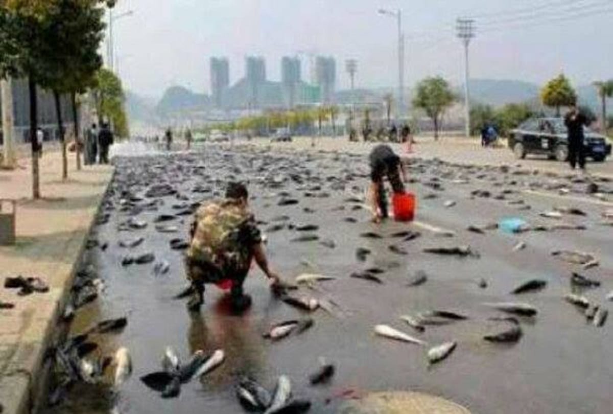 Every Year the Sky Rains Fish in Honduras