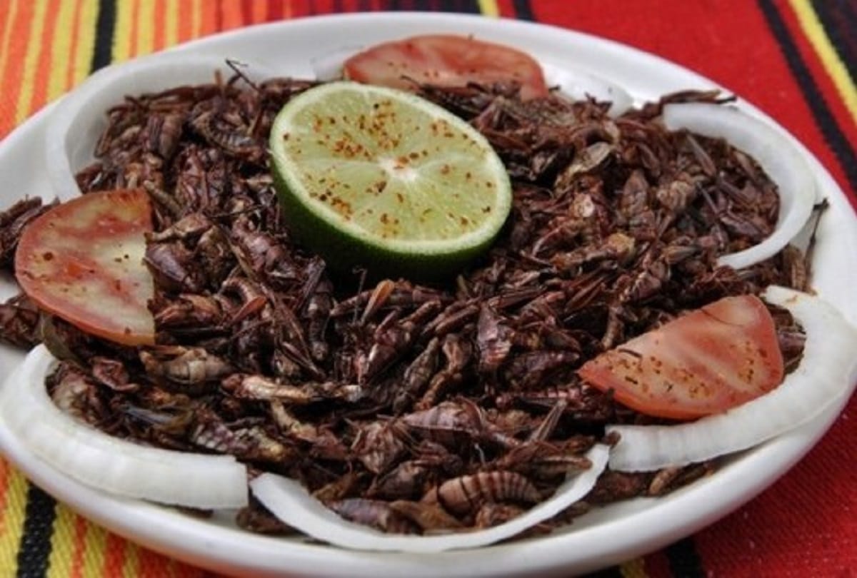 7 Strange Foods from Around the World