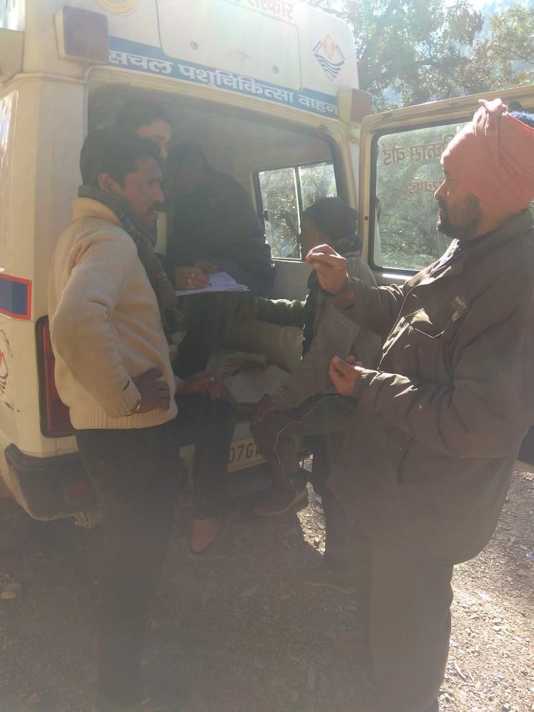 Animal Husbandry Department distributed medicines in the camp