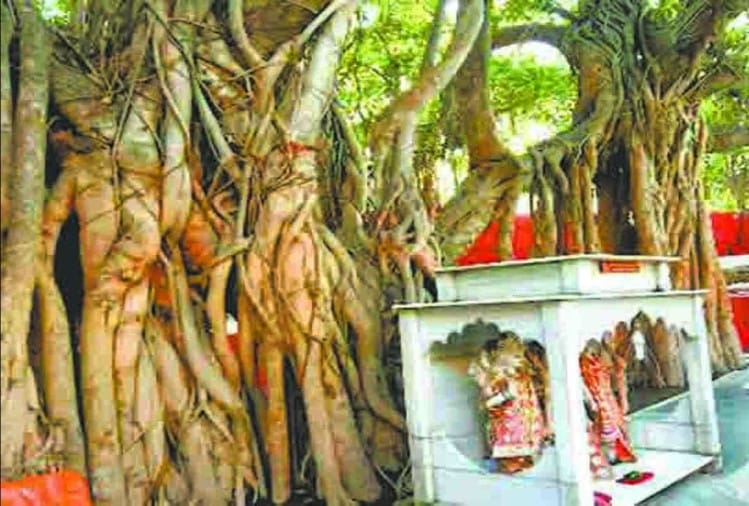 Priests were prevented from going to Patalpuri due to renewal