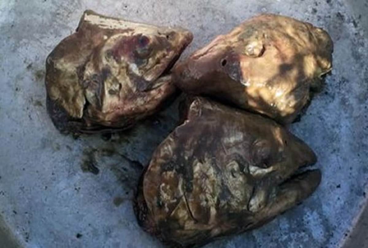 7 Strange Foods from Around the World