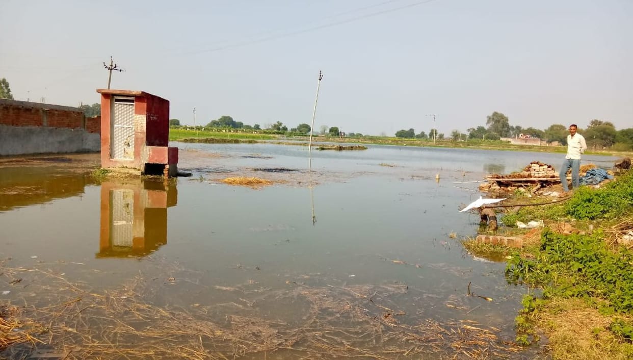 50 bigha crop submerged