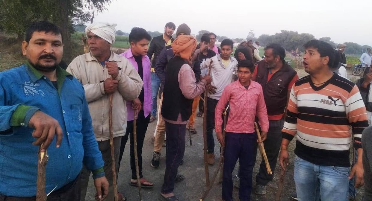 many people fight for cattel, dispute