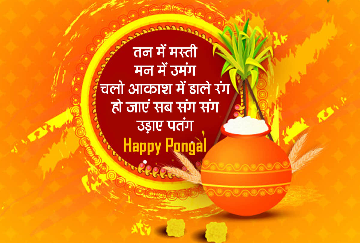 Pongal 2021 in India pongal begins in India know the Significance and rituals