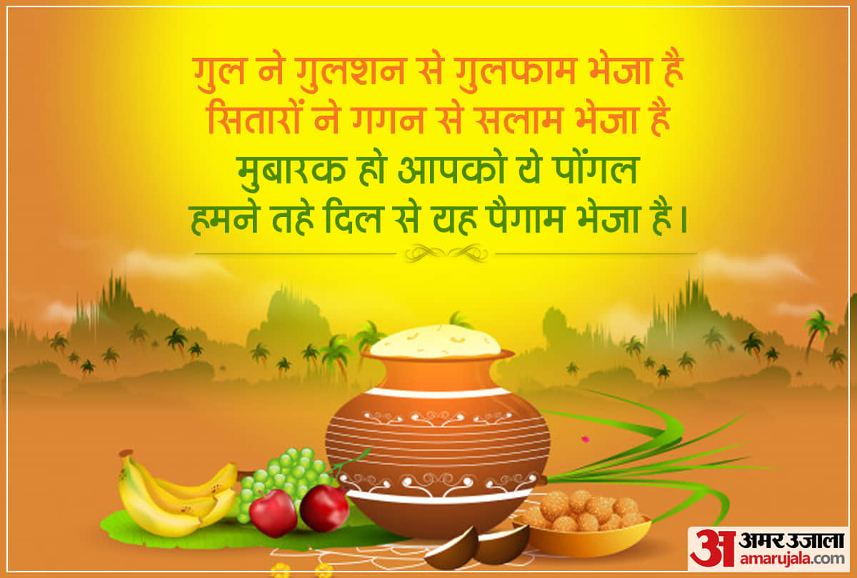 Pongal 2021 in India pongal begins in India know the Significance and rituals