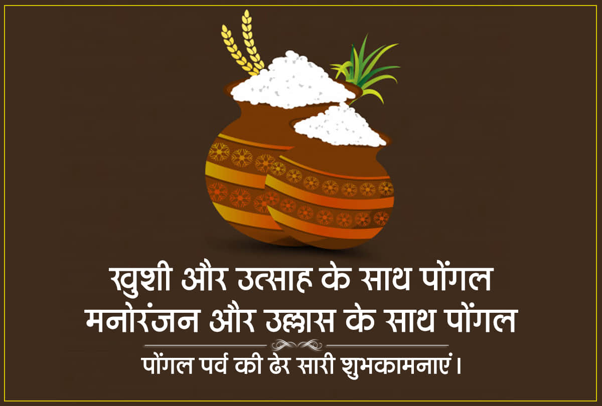 Pongal 2021 in India pongal begins in India know the Significance and rituals