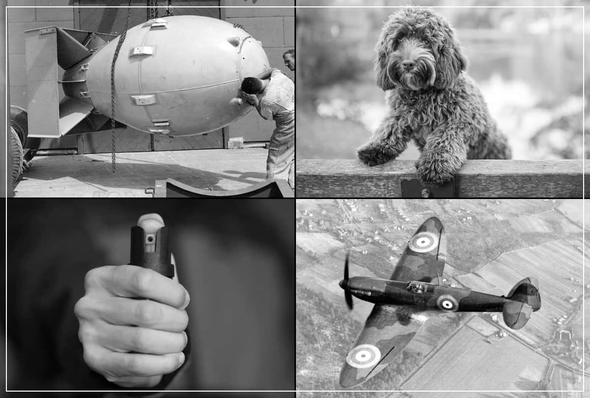 World Most famous inventions which their inventor regret www atomic bomb aircraft dynamite