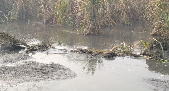 Hundreds of bigha crops destroyed in Sikheda