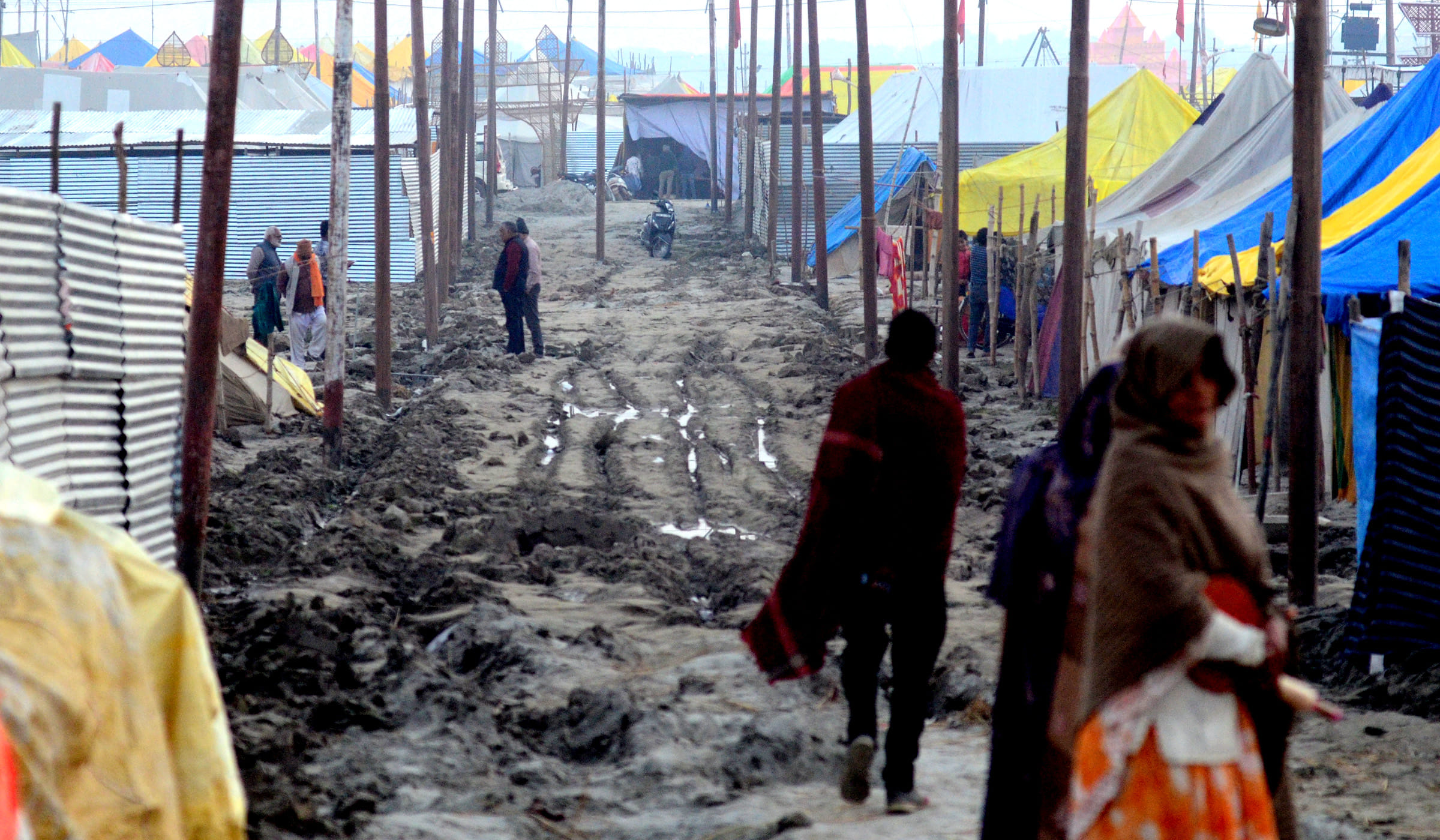 One bastard on five biswa lands, shouted pilgrimage