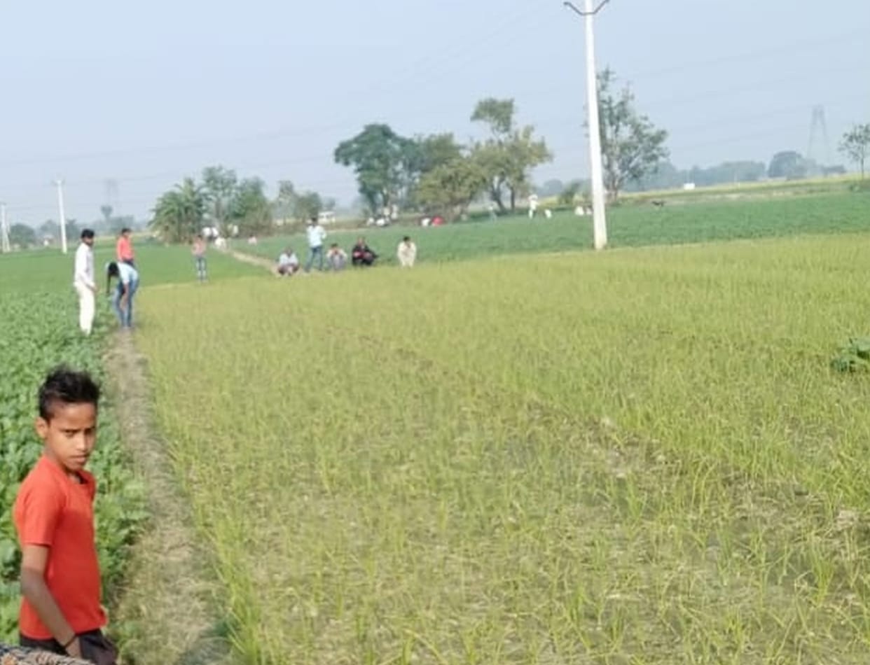 land, farming, gram sabha
