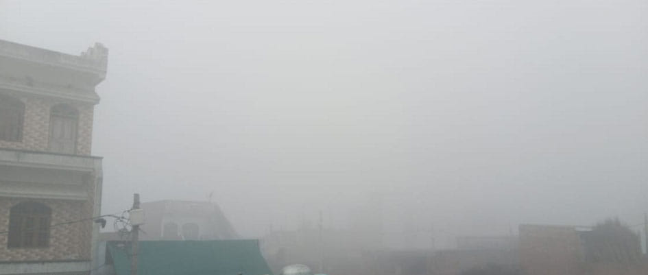 winter, fog