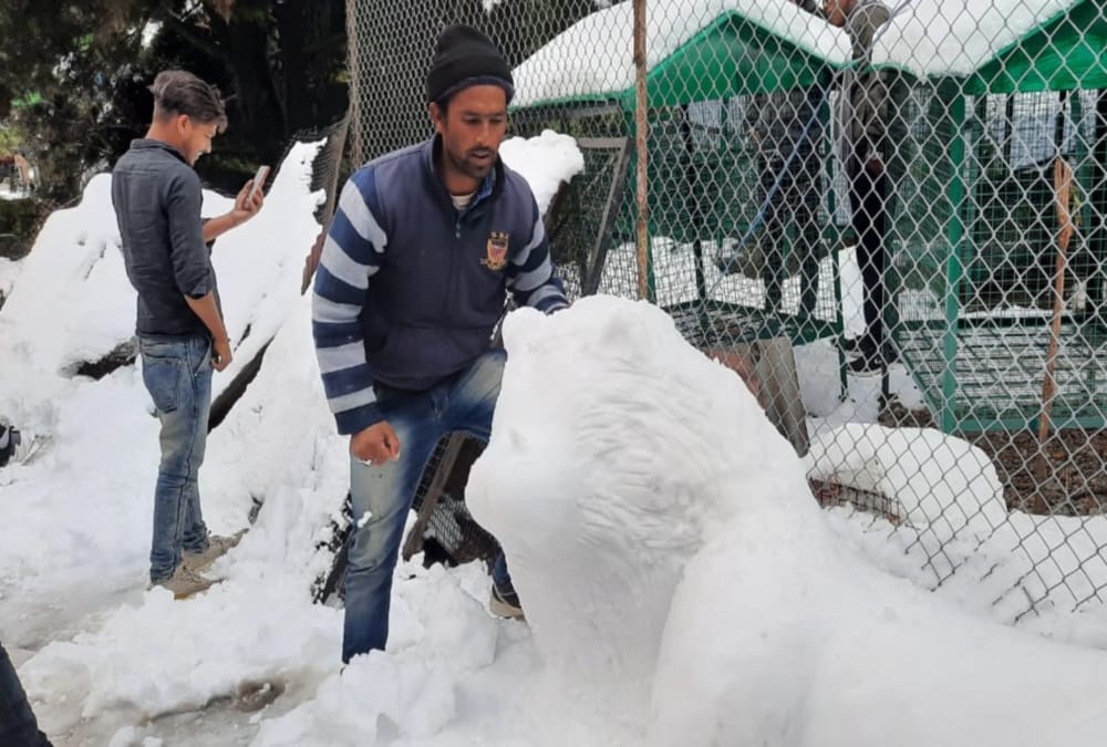 Snow Tiger Idol Made by Artist Boy Attract Tourist in Mussoorie