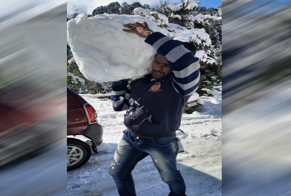 Snow Tiger Idol Made by Artist Boy Attract Tourist in Mussoorie