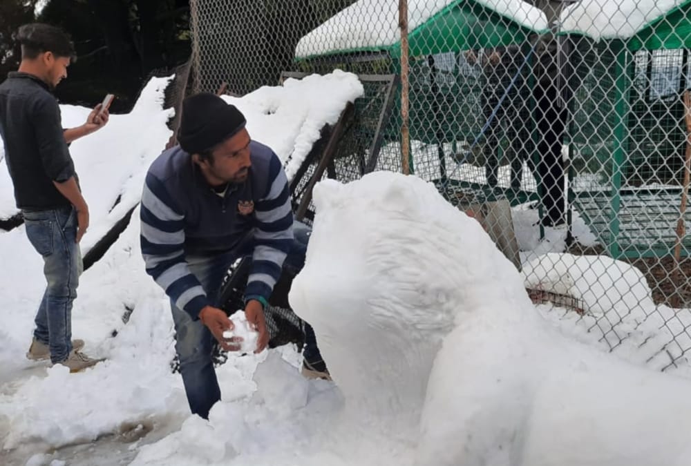 Snow Tiger Idol Made by Artist Boy Attract Tourist in Mussoorie