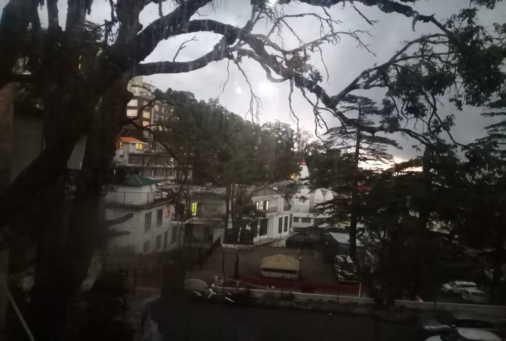 Snow Tiger Idol Made by Artist Boy Attract Tourist in Mussoorie