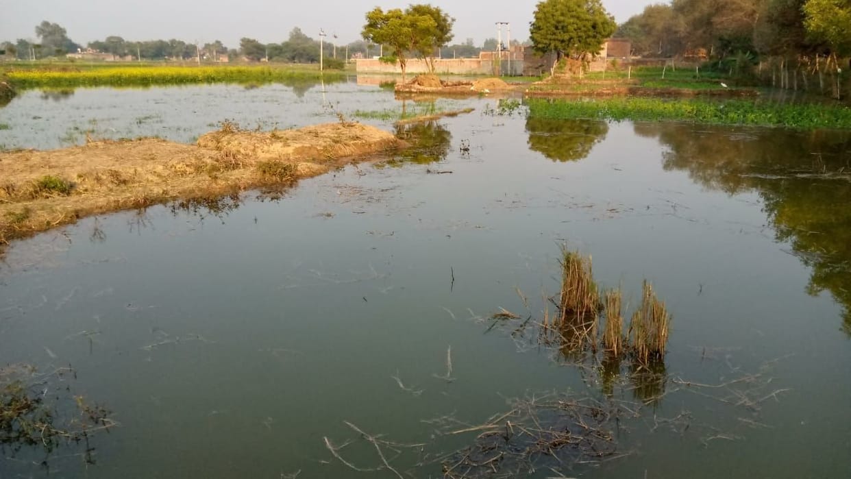 Canal water closed after crop failure