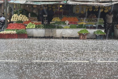 Crop damage in Yamuna nagar due to Heavy rain and hailstorm