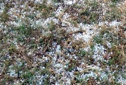 Crop damage in Yamuna nagar due to Heavy rain and hailstorm